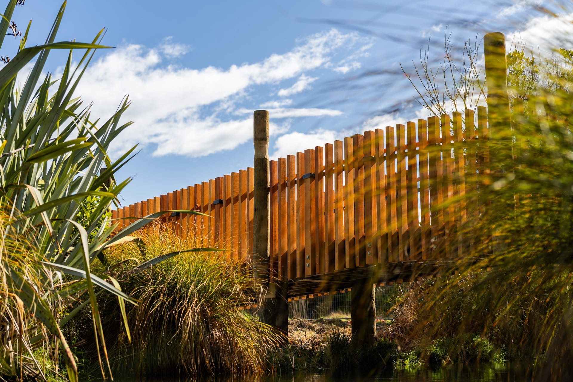 Timber boardwalk bridge completed over a wetland waterway, showing civil construction and recreation construction in a natural reserve. The image highlights timber structures, bridge construction, walking track construction, erosion control and park construction delivered by civil contractors.