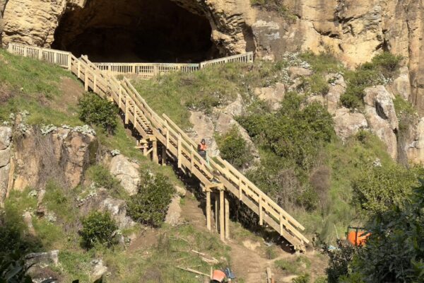 Completed timber staircase and walkway built into a steep hillside at Barnett Park, providing safer access to a cave and surrounding walking track. The image highlights civil construction, recreation construction, timber structures, park construction and walking track construction by civil contractors.