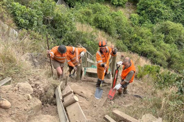 Civil contractors building timber steps on a steep walking track during a staircase replacement project at Barnett Park. This image shows recreation construction, siteworks, park construction, erosion control and project management in a challenging hillside environment.