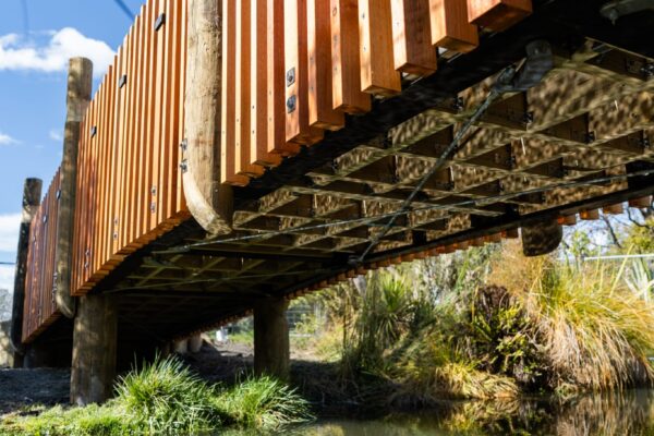 Low angle view of a timber bridge above a wetland stream, showing the underside structure and timber balustrades. This bridge construction project includes timber structures, civil construction and recreation construction for safe public access through a reserve.