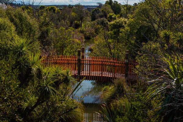 Completed timber bridge crossing water in a densely planted reserve environment. The image shows bridge construction, timber structures, recreation construction and civil construction delivered as part of public access infrastructure.