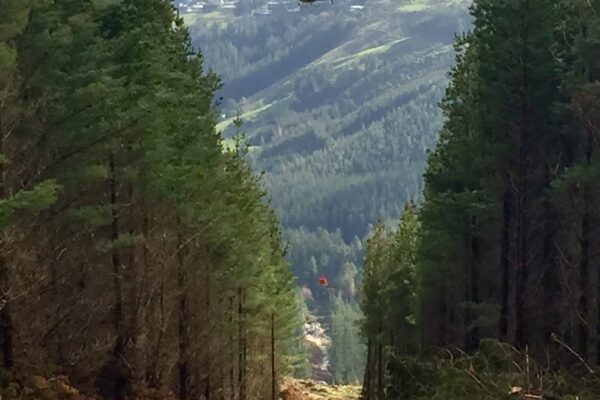 Cleared forest corridor prepared for adventure infrastructure and park construction, with a steep access track leading through the trees. The image reflects civil construction planning, site preparation, walking track construction and project management in a remote recreation construction setting.