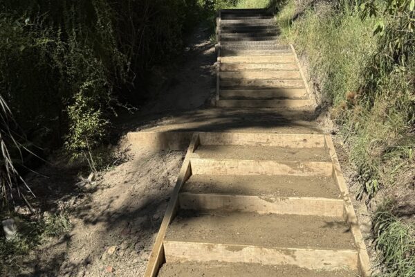 Walking track construction with compacted steps and timber edging through a natural reserve pathway. The image shows recreation construction, civil construction, erosion control and site preparation for safer public access.