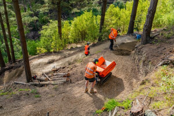 Civil contractors building a walking track through a forest reserve using compact machinery and gravel surfacing. This recreation construction project includes siteworks, erosion control, site preparation and careful construction in a natural environment.