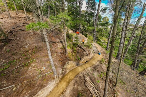 Walking track construction winding through a forest reserve with newly formed compacted paths and timber edging. The image shows recreation construction, civil construction, erosion control and site preparation in a sensitive bush environment.