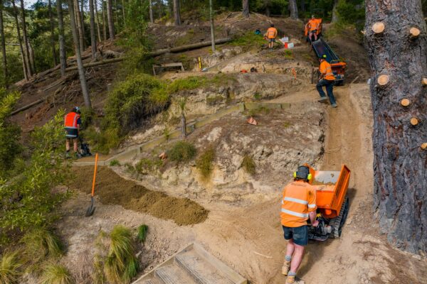 Civil contractors using compact machinery to build walking tracks through a steep forest reserve. The image highlights recreation construction, site preparation, erosion control and civil construction work carried out in a natural environment.