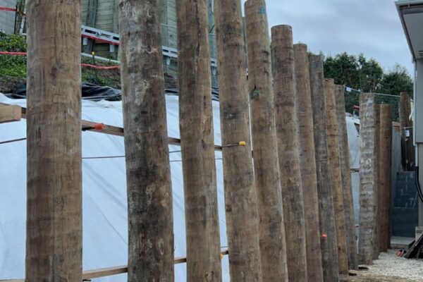 Timber structures and driven piles forming retaining walls along a narrow residential boundary. This civil construction project includes slope retention, foundation construction, ground stabilisation and detailed site preparation in a restricted access area.