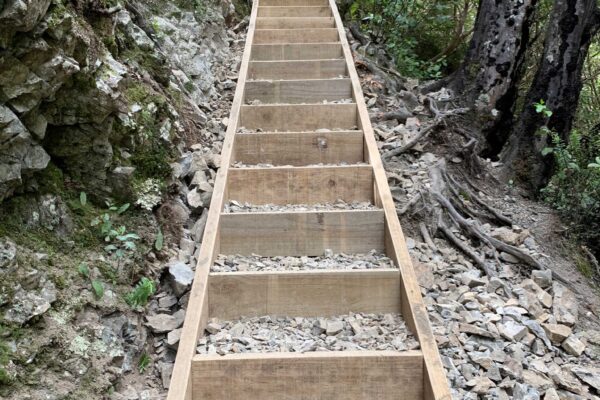 Timber boxed steps forming part of a walking track construction project through a rocky bush area near Hanmer. The image highlights civil construction, recreation construction, park construction, erosion control and siteworks completed by civil contractors.