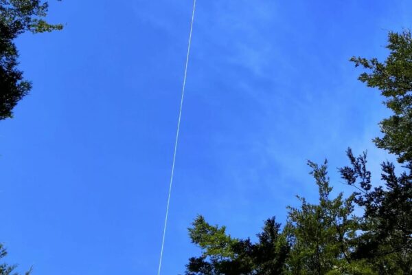 Helicopter operation lifting materials above a forested walking track construction site, supporting recreation construction in difficult access terrain. The image shows heli operation, commercial sling work, civil construction logistics and project management by civil contractors.