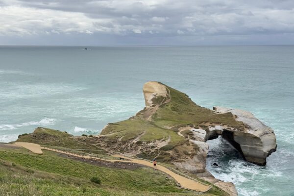 Finished coastal walking track and lookout area overlooking cliffs, ocean and natural rock formations. The project demonstrates walking track construction, recreation construction, erosion control and civil construction for improved public access.