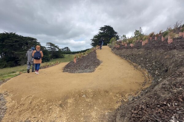Newly completed coastal walking track with compacted gravel surfacing, drainage aggregate and planting along the slope. This civil construction project highlights recreation construction, siteworks, erosion control and careful land development near the ocean.