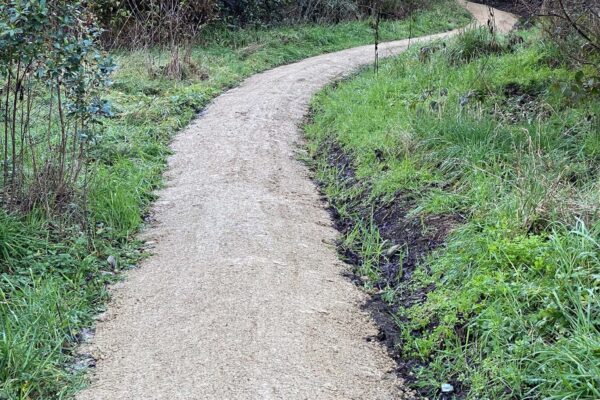 Newly upgraded walking track through a green reserve, showing recreation construction and park construction completed by civil contractors. This image highlights walking track construction, siteworks, erosion control and civil construction improvements in a natural setting.