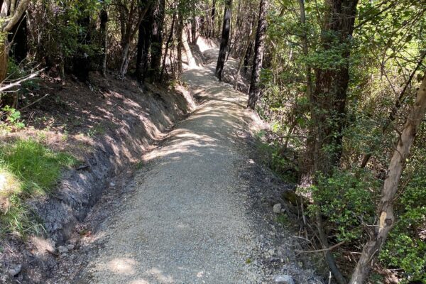 Upgraded gravel walking track through native bush, showing recreation construction and park construction completed by civil contractors. This image highlights walking track construction, siteworks, erosion control and civil construction improvements in a forested reserve.
